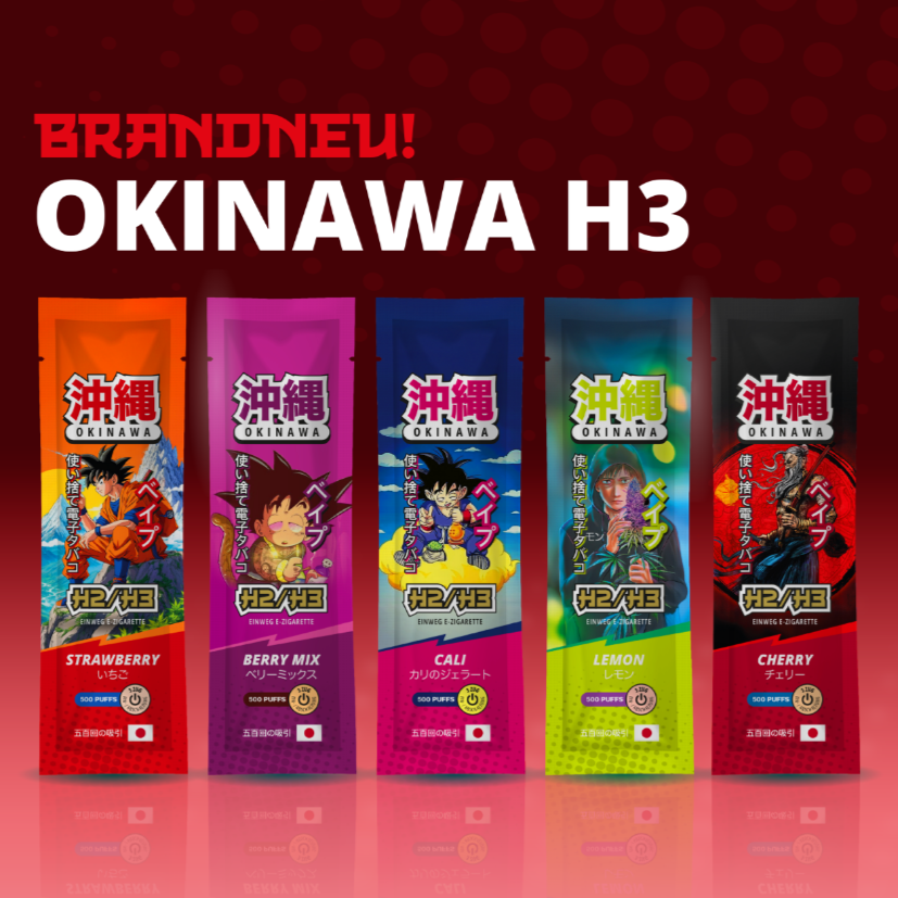 elfbar elfa master akku Okinawa H2/H3 – Vape Handel